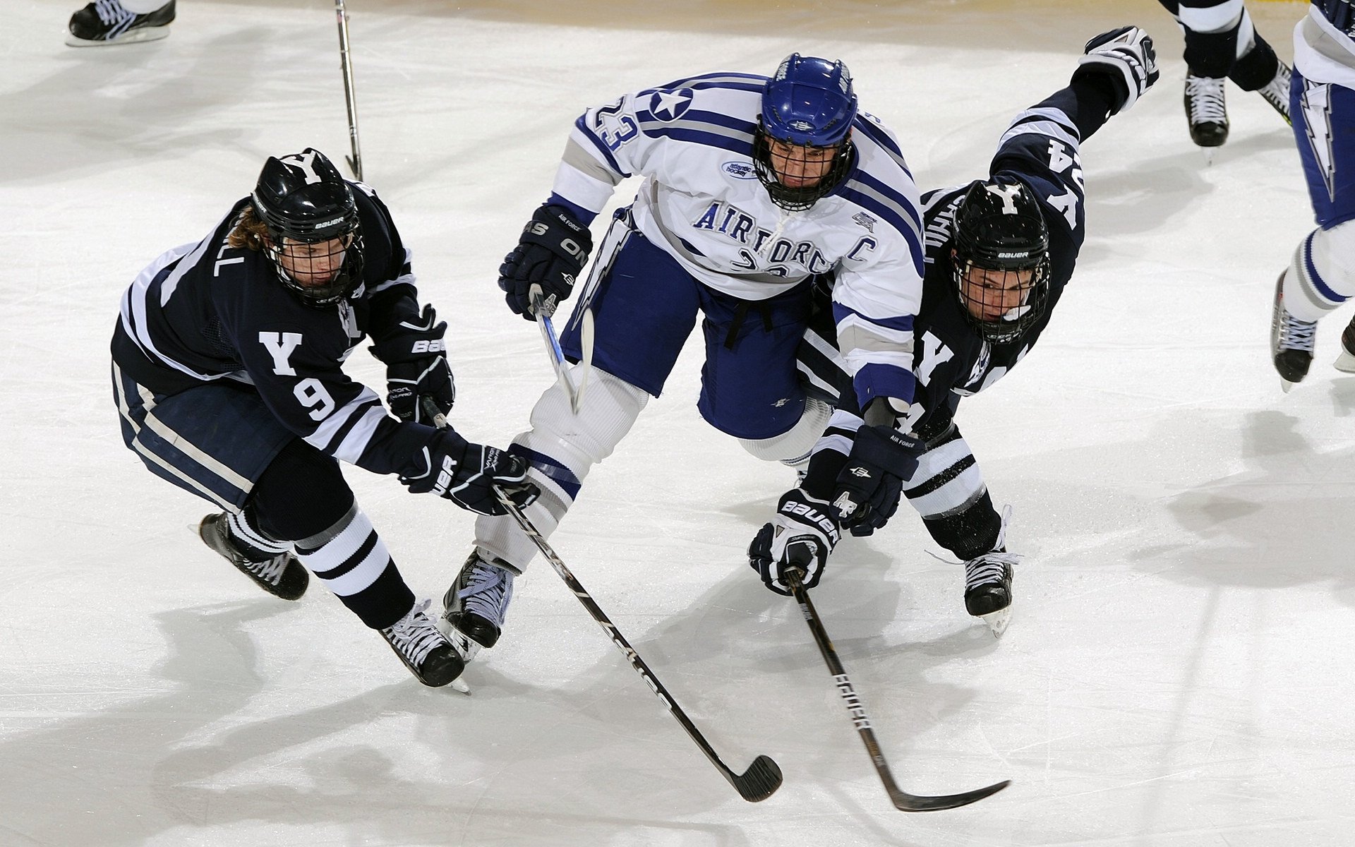 范弗利特关键战不手软，鹈鹕冲垮公牛，当坚韧遇上天赋的胜利启示